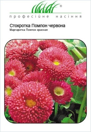 Насіння маргаритки Помпон червона, 0.01 г, Hem, Голландія, Насіння квітів Pro seeds