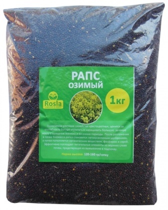 Насіння озимого ріпаку, 1кг, TM ROSLA (Росла)