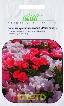 Насіння годеції крупноквіткової Рембрандт, 0.1 г, Hem, Голландія, Насіння квітів Pro seeds
