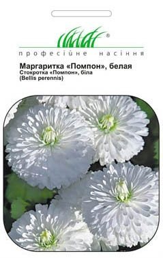 Насіння маргаритки Помпон біла, 0.01 г, Hem, Голландія, Насіння квітів Pro seeds