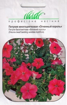 Насіння петунії карликової Вогняний король, 0.1 г, Hem, Голландія, Насіння квітів Pro seeds