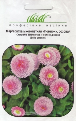 Насіння маргаритки Помпон рожева, 0.01 г, Hem, Голландія, Насіння квітів Pro seeds