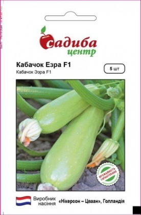 Семена кабачка Эзра F1, 5шт, Nickerson-Zwaan, Голландия, семена Садиба Центр