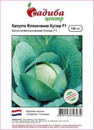 Насіння капусти Куізор F1, 100шт, Syngenta, Голандія, насіння Садиба Центр