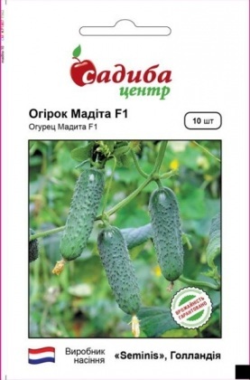 Насіння огірка Мадіта F1, 10 шт., Seminis, Голандія, Садиба Центр