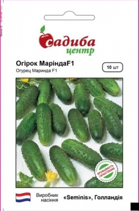 Семена огурца Маринда F1, 10шт, Seminis, Голландия, семена Садиба Центр
