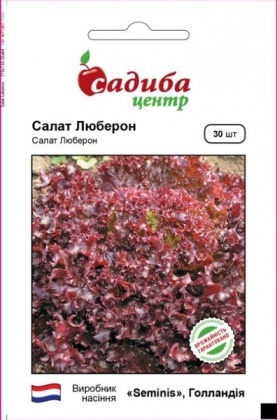 Насіння салату Люберон Лолло Росса, 30шт, Seminis, Голандія, насіння Садиба Центр