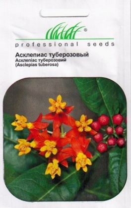 Насіння алісум туберозового, 0.1 г, Hem, Голландія, Насіння квітів Pro seeds