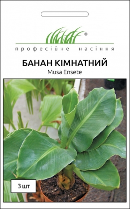 Насіння банана кімнатного, 3шт, Hem, Голландія, Насіння квітів Pro seeds