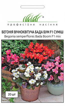 Семена бегонии Бада Бум F1, 20шт, Syngenta, Голландия, Професійне насіння