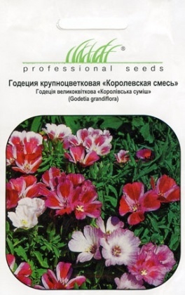 Насіння годеції Королевська суміш, 0.2 м, Tezier, Франція, Насіння квітів Pro seeds