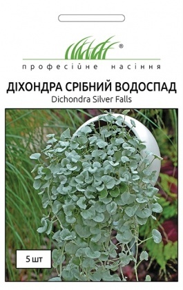 Насіння діхондри Срібний водоспад, 5шт, Pan American, США, Насіння квітів Pro seeds