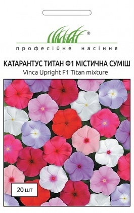 Насіння статиці виїмчастої Рожеве сяйво, 0,1г, Професійне насіння