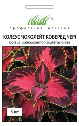 Насіння колеуса Чоколейт Коверед чері, 5шт, Pan American, США, Насіння квітів Pro seeds