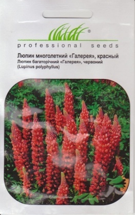 Насіння люпину Галерея червоний, 0.4 г, Hem, Голландія, Насіння квітів Pro seeds