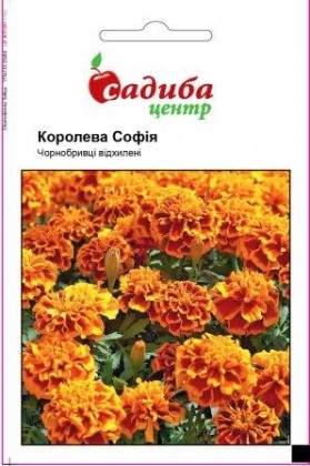 Насіння чорнобривців Королева Софія, 0.2 м, Hem, Голландія, Садиба Центр