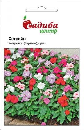 Семена катарантуса (барвинок) Хетвайв смесь, 20шт, Hem, Голландия, Садиба Центр