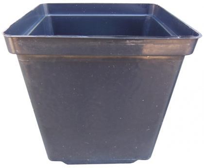 Горщик для розсади квадратний, 1.9 л, 13х13х13, чорний, Kloda (Клода)