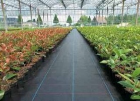 Ткань для покрытия грунта Агролис (Agrolys) BL100, 4,15*100м (100г/м2) 1