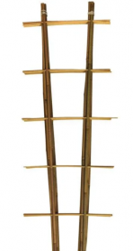 Бамбукові сходи для рослин S2 75 см, les-bmb-75 1