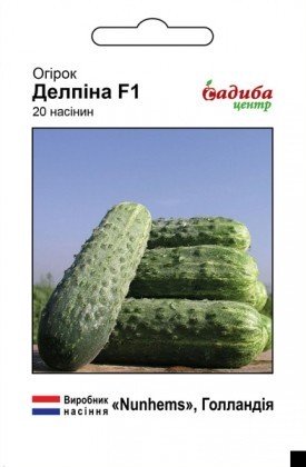 Насіння огірка Делпіна F1, 10шт, Nunhems, Голандія, насіння Садиба Центр