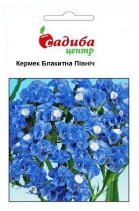 Насіння кермека Блакитний північ, суміш 0.1 г, Hem, Голландія, Садиба Центр