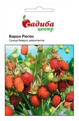 Насіння суниці Барон Рюген, 0.2 м, Hem, Голландія, Садиба Центр