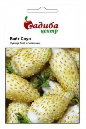 Насіння суниці Вайт Соул, 0.1 г, Hem, Голландія, Садиба Центр