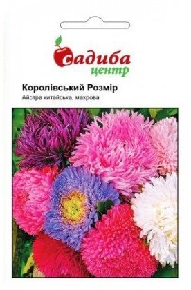 Насіння айстри Королівський розмір, 0.2 м, Hem, Голландія, Садиба Центр