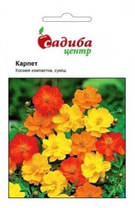 Насіння космеї компактної Карпет суміш, 0.2 м, Hem, Голландія, Садиба Центр