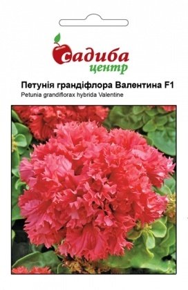 Насіння петунії Валентина F1, червона, 10шт, Pan American, США, Садиба Центр