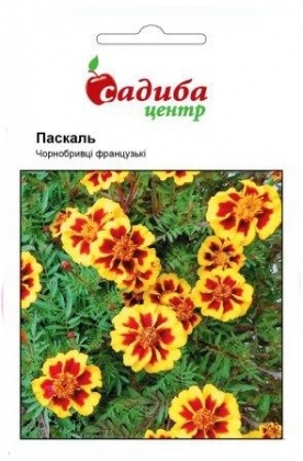 Насіння чорнобривців Паскаль, 0.2 м, Hem, Голландія, Садиба Центр