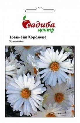 Насіння хризантеми Травнева королева, 0.1 г, Hem, Голландія, Садиба Центр