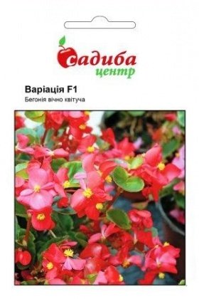 Семена бегонии Вариация F1, 10шт, Cerny, Чехия, Садиба Центр