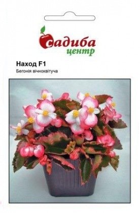 Семена бегонии Наход F1, 10шт, Cerny, Чехия, Садиба Центр