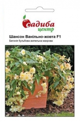 Насіння бегонії ампельної Шансон F1, ванільно-жовта, 10шт, Cerny, Чехія, Садиба Центр