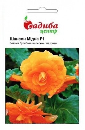 Насіння бегонії ампельної Шансон F1, мідна, 10шт, Cerny, Чехія, Садиба Центр