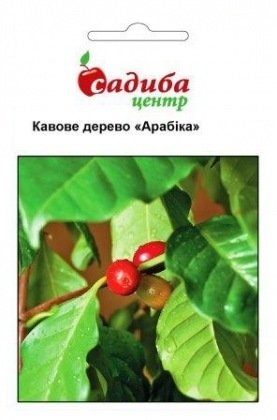 Насіння кавового дерева Арабіка, 1г, Hem, Голландія, Садиба Центр