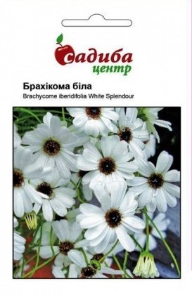 Семена брахикомы белой, 0.1г, Hem, Голландия, Садиба Центр