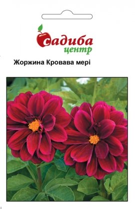 Семена георгины Кровавая мери, 0.1г, Hem, Голландия, Садиба Центр