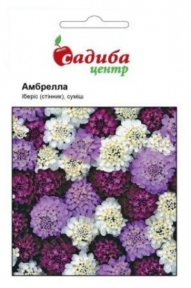 Насіння іберіса Амбрелла, 0.5 г, Hem, Голландія, Садиба Центр