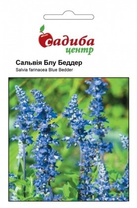 Насіння сальвії Блу Беддер, синя, 0.5 г, Hem, Голландія, Садиба Центр