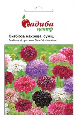 Семена скабиозы махровой, смесь, 0.3г, Hem, Голландия, Садиба Центр