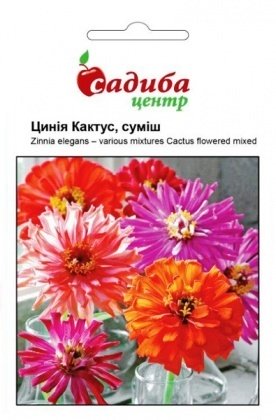 Насіння цинії Кактус, суміш, 0.5 г, Hem, Голландія, Садиба Центр