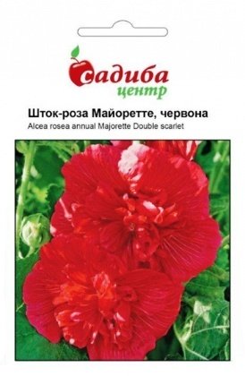 Насіння шток троянди Майоретте, червона, 0.2 м, Hem, Голландія, Садиба Центр