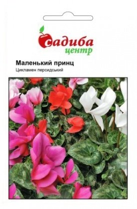 Насіння цикламена Маленький принц F1, суміш, 3шт, Hem, Голландія, Садиба Центр