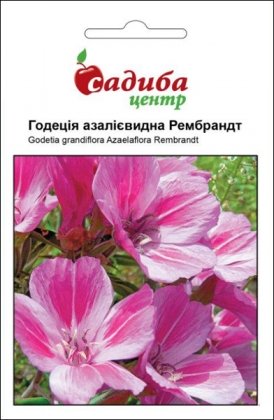 Насіння годеції азалієвидної Рембрандт, 0.2 м, Hem, Голландія, Садиба Центр