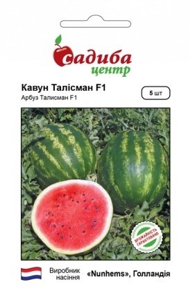 Насіння кавуна Талісман F1, 5шт, Nunhems, Голандія, насіння Садиба Центр