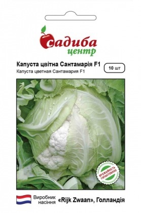 Насіння капусти цвітної Сантамарія F1, 10шт, Rijk Zwaan, Голландія, насіння Садиба Центр