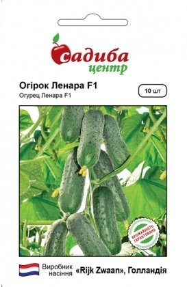 Насіння огірка Ленара F1, 10шт, Rijk Zwaan, Голландія, насіння Садиба Центр